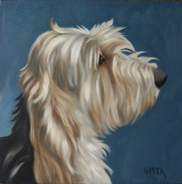 Petit Basset Griffon Vendeen
8" x 8"
Prints and note cards available